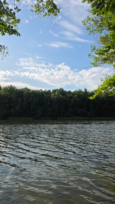 An image depicts a serene lakeside scene framed by green foliage. The water's surface is rippled, reflecting the light. A dense line of dark green trees forms a backdrop along the water's edge. Above the trees, a bright blue sky is adorned with wispy white clouds. The overall impression is one of natural tranquility. The image does not contain any discernible elements that would suggest a specific location within the city of Salem, Germany, or any other identifiable urban setting.