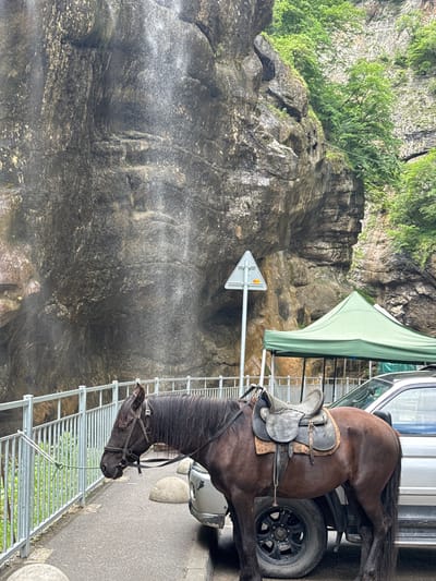 A dark brown horse with a saddle stands on a paved surface next to a silver vehicle and a green canopy tent. The horse is positioned facing left, with its head lowered. A metal fence runs along the left side of the scene, with greenery visible behind it. In the background, a large, wet rock face with a waterfall cascading down is prominent. Trees and more rocky cliffs are visible above the waterfall. A triangular road sign with a yellow emblem is mounted on a pole to the left of the tent. The scene appears to be an outdoor tourist area with natural attractions.