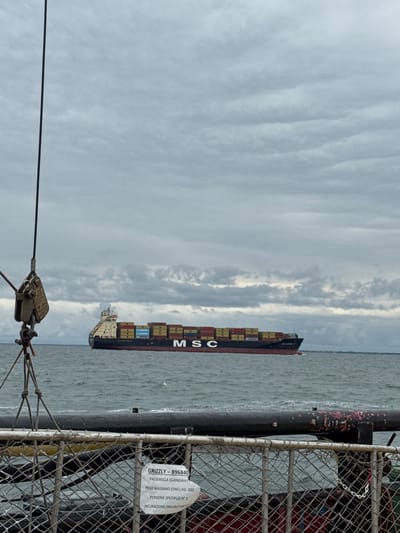 A medium-shot photograph, taken from a low perspective, captures a large container ship navigating a body of water under an overcast sky in Marina di Ravenna, Italy. The ship, identified by the prominent "MSC" logo on its dark hull, is heavily laden with numerous multi-colored shipping containers stacked high on its deck, primarily in yellow, red, and blue hues. The vessel appears to be moving from right to left across the frame, with its superstructure visible towards the stern.

In the immediate foreground, maritime elements suggest the observer's position is on a pier or another vessel. To the right, a weathered metal chain-link fence, possibly part of a gangway or railing, partially obstructs the view. Behind the fence, a ladder-like structure and a dark vertical post with reddish-pink marine growth are visible. A white rectangular label is affixed to the fence. On the left, a robust metallic hook or shackle, connected to a thick cable, extends into the lower-left corner of the frame, hinting at mooring or towing equipment. The water below the ship and stretching into the distance appears choppy with subtle ripples. The sky is entirely cloudy, displaying long, streaky cloud formations.

The visible text on the container ship is "MSC". The label on the foreground fence provides details for a gangway: "GRIZZLY - 896840", "PASSERELLA (GANGWAY)", "PESO MASSIMO (SWL) KG. 300", "PERSONE (PEOPLE) N° 3", and "INCLINAZIONE (INCLINATION)".