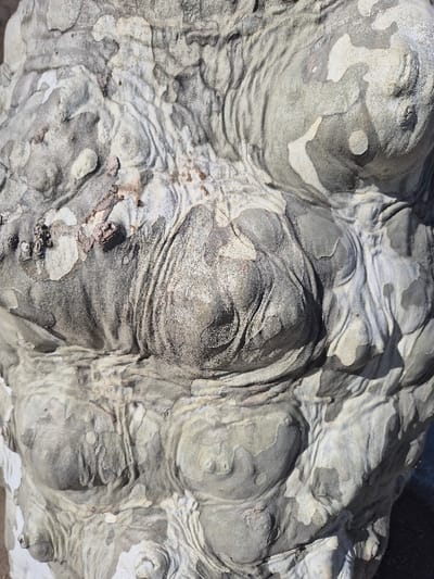 A close-up, high-resolution forensic image captures the textured bark of a tree trunk, identified as being in the city of Piedrahíta, Spain. The trunk exhibits significant burls and protuberances, giving it a heavily convoluted and irregular surface. The bark displays a mottled pattern of light gray, dark gray, and off-white patches, consistent with the shedding bark of a plane tree. Deep fissures and wrinkles are evident between the rounded masses. Direct sunlight illuminates the scene from an implied upper-left direction, creating distinct shadows that accentuate the three-dimensional texture of the bark. No individuals, actions, or distinct environmental features beyond the tree trunk are discernible.