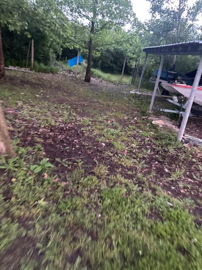 The image depicts an outdoor area, likely in a rural or semi-rural setting. The foreground is dominated by a patch of earth covered in sparse vegetation, a mix of grass and leafy plants. In the mid-ground, a metal structure resembling a carport or shelter is visible, possibly housing a boat or trailer. To the left, trees and foliage suggest a wooded area. A blue object hangs from a tree branch. The image is rotated and seems to have motion blur. The image does not provide information on whether the location is in Dabovets, Bulgaria.