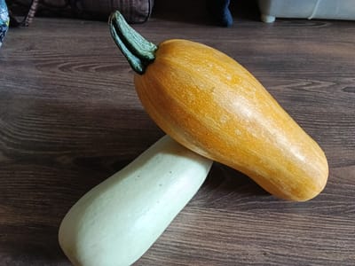Two gourds, one yellow and one pale green, lie on a dark wood surface. The yellow gourd, with its green stem still attached, is positioned on top of the pale green gourd, obscuring a portion of it. The background is out of focus, but appears to include some bags or fabric. The scene is indoors. The location is Drahichyn, Belarus.