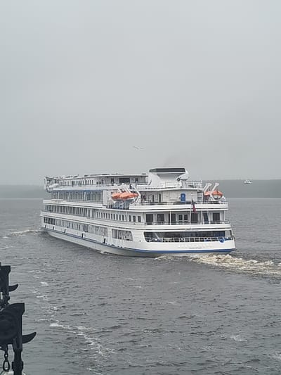 The image shows a white multi-deck river cruise ship named "АЛЕКСАНДРА" (Aleksandra) moving through water. The sky is overcast and gray. There are visible birds flying above the water. In the lower left corner, there are dark metal components of an unidentified structure, likely part of the vessel the image was taken from. The location is presumed to be near Topornya, Russia, based on the ship potentially operating on Russian waterways.