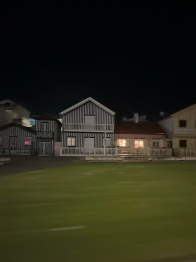 The image shows a row of buildings alongside a dark area, potentially water, and a green field. The buildings are multi-story structures with distinctive striped designs and visible windows. Some windows are illuminated, suggesting nighttime. A small fence lines the edge of the buildings closest to the field, which appears well-maintained. The composition is somewhat dark overall, with the buildings and field receiving most of the available light.
