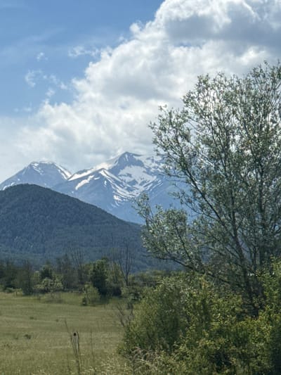 This is a landscape photograph taken in the vicinity of Dobrinishte, Bulgaria. The image features a panoramic view with a prominent mountain range in the background. These mountains are snow-capped, indicating a high altitude or a colder season. In the foreground, a lush green meadow stretches out, bordered by trees and bushes. A large tree with dense foliage is positioned in the right-hand side of the frame, partially obscuring the view of the mountains. The sky is a clear blue with scattered white clouds, suggesting fair weather. The overall scene depicts a natural, mountainous environment, characteristic of the region surrounding Dobrinishte.