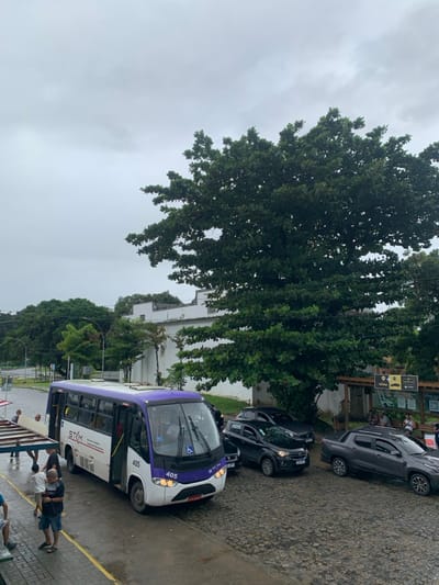 The image presents an outdoor urban scene in Camaragibe, Brazil, under an overcast sky. A white and purple public transit bus, displaying the number "405" and "STM" branding with a wheelchair accessibility symbol, is centrally positioned on a cobblestone-paved street, its front door open.
To the immediate left of the bus, three male individuals are visible on a paved area marked by a yellow line. One man wears a white t-shirt and dark shorts, facing the bus. Another man, partially obscured, is carrying a long, light-colored object resembling a board.
Behind the bus, three additional vehicles are stationary on the cobblestone street: a dark-colored SUV, a dark-colored sedan (partially obscured), and a dark gray pickup truck.
On the right side of the frame, a large tree with dense green foliage stands prominently, partially obscuring a white building with an ornate, weathered parapet structure behind it. Below the tree, a wooden shelter with multiple informational signs is visible, beneath which several individuals are seated or standing.
The ground across the visible street area is paved with dark, irregularly shaped cobblestones. Beyond the street on the far left, additional green trees and a paved road curving out of view complete the urban landscape.