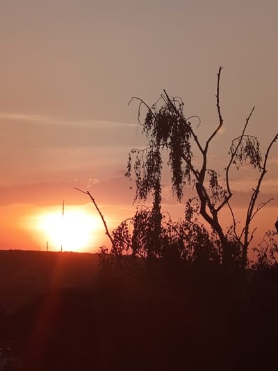 The image depicts a silhouette of a tree against a sunset sky. The sun is a bright, glowing orb on the horizon, casting a warm, orange and pink hue across the sky. The tree's branches are bare and spindly, reaching towards the sky like skeletal fingers. In the distance, there are faint outlines of buildings and structures, suggesting an urban environment. The overall mood of the image is peaceful and serene, with a touch of melancholy.
The location is not specified in the image itself, and therefore it is not possible to determine if it is in Nancy, France.