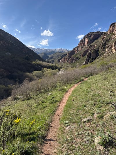 The image shows a mountain landscape near Cholpon Ata, Kyrgyzstan. A narrow, reddish-brown dirt path winds through a green, grassy hillside. The hillside slopes upwards to the right. To the left of the path, there is a dense line of leafless bushes and some trees. Behind the bushes, a steep, rocky mountain range rises sharply. In the distance, snow-capped peaks are visible. The sky is bright blue with scattered white clouds. Yellow flowers are scattered in the foreground.