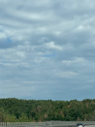 The image shows a view from a vehicle traveling on a highway, with a dense forest bordering the road. The sky is overcast with scattered clouds. In the foreground, a silver car is visible on the highway, and a guardrail runs along the side of the road. The forest is a mix of green and brown trees, indicating a natural landscape. There are no discernable city landmarks or signs to suggest a specific location within Krushovitsa, Bulgaria.