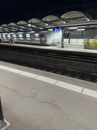 The image depicts a nighttime view of the train station in Vevey, Switzerland, from a platform looking across multiple tracks towards another platform.

In the immediate foreground, a grey asphalt platform surface is visible, featuring a series of white, horizontal tactile warning strips running parallel to the tracks. A dark, vertical structural post is partially visible on the far left.

The midground features two sets of train tracks laid on a bed of dark gravel ballast.

Beyond the tracks, another train platform is illuminated by artificial light emanating from a modern canopy structure. This canopy consists of multiple arched, translucent or metallic segments supported by a metal framework. Linear lights are visible under the canopy. Along this far platform, a long grey wall structure with diagonal paneling is visible. A magenta sign with white text, possibly "VELO," is affixed to this wall. A blue digital display board, with unreadable text, is also visible.

Several individuals are present on the far platform. On the left side, a group of approximately three to four indistinct figures stands. Further to the right, a single person is visible, seemingly sitting or leaning against a metal barrier near an access point. Metal fences and barriers delineate sections of the far platform. Towards the far right, some green and reddish-brown foliage is visible. The sky above is dark.