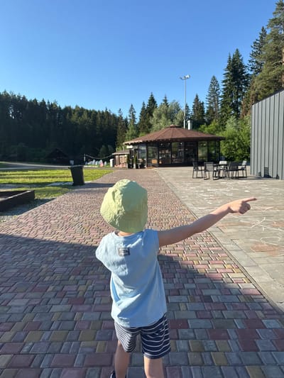 A young child wearing a light green sun hat and a blue t-shirt with stripes on the sleeves and a graphic on the back, is standing in a paved outdoor area, pointing to the right. The child is seen from behind. The paved area is made of multi-colored rectangular bricks arranged in a pattern. In the background, there is a circular, open-sided building with a brown roof, resembling a pavilion or a cafe. Several outdoor tables and chairs are set up in front of this structure. Beyond the pavilion, a dense forest of green trees stretches across the horizon under a clear blue sky. To the right of the pavilion, a modern building with a grey, ribbed facade is visible. The environment appears to be a park or a recreational area. The scene suggests a warm, sunny day.