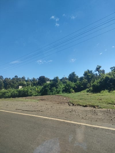 The image depicts a roadside scene in Kenya, possibly within a municipality ward. In the foreground is a paved road with a yellow lane marker. Adjacent to the road is a dirt shoulder transitioning into grassy terrain. Beyond this, there is dense foliage comprised of bushes and trees. In the background, the sky is clear and blue with a few scattered clouds and power lines.
