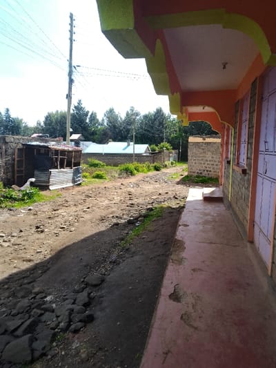 The image depicts an outdoor scene in Njoro ward, Kenya, illuminated by natural daylight under a clear blue sky. On the right, a building facade features concrete block construction with an orange and lime green painted extended canopy and wall trim. Light purple panels, consistent with doors or shutters, are visible on the building. A reddish-brown concrete pathway runs along the building's base, exhibiting surface wear. The central area is an unpaved dirt road, characterized by an uneven surface with exposed rocks, eroded sections, and sparse green vegetation along its edges. To the immediate left of the road, a makeshift shed constructed from stone blocks, wooden frames, and corrugated metal sheets is present. In the background, a tall utility pole with numerous electrical wires extends upwards. Beyond the road, residential structures, including one with a light blue roof, are visible behind a low concrete block wall, bordered by dense green foliage. No persons, animals, or discernible actions are present.