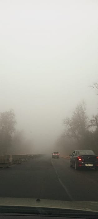 The image captures a road scene in Ait Naamane, Morocco, characterized by dense fog severely limiting visibility. The perspective is from within a vehicle, with the top edge of a dashboard or windshield base visible at the bottom. The scene shows a two-lane asphalt road, which appears dark and potentially damp, with a solid white line separating the lanes.

In the right lane, a dark-colored Dacia Logan sedan is moving away from the viewer, its red taillights illuminated. A Moroccan license plate is partially visible on this vehicle, displaying "66266 | A | 13". Further ahead in the left lane, a second, lighter-colored sedan is also moving away, with its taillights illuminated, receding into the fog.

Along the left side of the road, a series of light-colored concrete barriers are stacked. The right side of the road features an unpaved shoulder. Bare-branched trees line both sides of the road, their forms partially visible through the heavy mist before being completely obscured by the fog in the background. No people are discernible in the frame.
