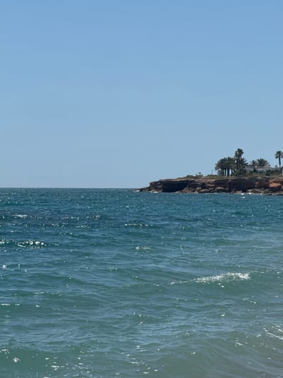 The image shows the coast of Vinaròs, Spain, with a cliff edge topped with palm trees on the left, and the sea to the right. The sky is clear blue. The sea is slightly wavy. The image is rotated 90 degrees counter-clockwise.