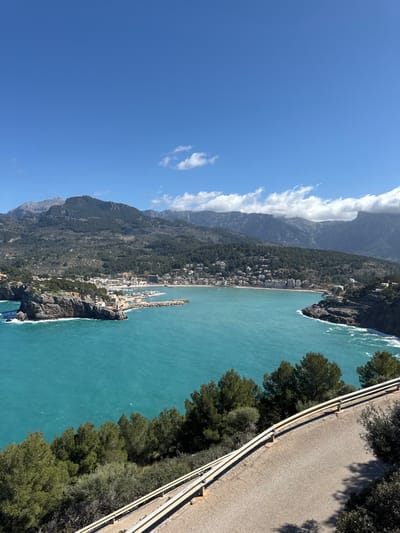 The image presents a panoramic, high-angle view of Port de Sóller, a coastal town in Sóller, Spain, situated on the northwest coast of Mallorca. The scene captures a wide bay with turquoise water under a clear blue sky dotted with sparse white clouds.

In the background, the rugged peaks of the Serra de Tramuntana mountains are visible, exhibiting dark green vegetation and scattered patches of snow on their higher elevations. The lower slopes of the mountains are covered with dense tree cover and dotted with residential and commercial structures forming the town.

The central feature is the horseshoe-shaped bay. On the left, a prominent rocky peninsula extends into the sea, topped with a small, white lighthouse structure. Waves are observed breaking against the base of this rocky outcrop. A stone breakwater extends from the peninsula, enclosing a marina where numerous boats, indicated by their masts, are moored. Along the curve of the bay, the town's buildings, predominantly white or light-colored, line the shore, backed by a sandy beach.

On the right side of the bay, the coastline consists of rocky cliffs and vegetated slopes. A winding road is visible descending towards the water's edge.

In the immediate foreground, a section of an asphalt road with a two-bar metal guardrail runs diagonally from the bottom-left to the bottom-right. Green pine trees and various shrubs line the roadside and the slope below, partially framing the expansive view of the bay and mountains. No people or discernible actions are present in the frame.
