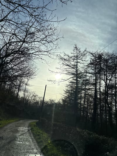 The image depicts a rural scene in Snailbeach, United Kingdom, captured from within a vehicle. A narrow, unpaved road, appearing wet and muddy with visible puddles reflecting light, curves from the lower center-left towards the middle-left of the frame. On the left side of the road, a sloped embankment is covered with green grass and bare deciduous trees, their intricate branches silhouetted against the sky. On the right side of the road, a dense stand of tall, dark, mostly bare coniferous trees (likely larch) forms a forest edge.
The sky is overcast with light grey and white clouds, but a bright sun is visible in the upper center-right, creating a strong backlight and some lens flare. A dark utility pole stands vertically in the mid-ground, slightly to the left of the coniferous trees, with a single dark power line extending diagonally upwards from the top right. The overall impression is of a winter or late autumn day, with the sun low in the sky. No individuals or animals are visible.