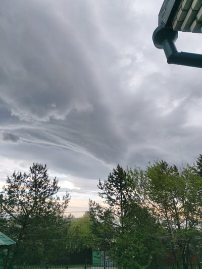 The image depicts a view in Magdagachi, Russia, under a cloudy, overcast sky. In the foreground, there are several trees of varying types with green foliage, partially obscuring a fence and shrubbery. A downspout is visible in the upper right corner of the frame. The background includes buildings and the sky. There are no people visible in the image.