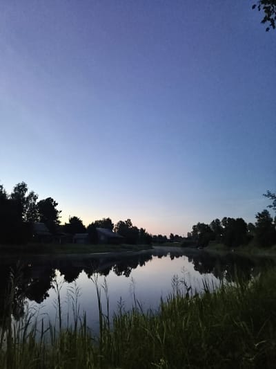 The image depicts a serene twilight scene of a village on the outskirts of Vidlitsa, Russia. A calm body of water, likely a river or lake, dominates the foreground, reflecting the dusky sky and the silhouettes of trees and buildings along its banks. Tall grass and reeds grow along the water's edge, their forms blurred by the low light. Across the water, a line of dark trees forms a backdrop to several rustic, dark-colored buildings, some with visible windows. The sky transitions from a deep blue at the top to lighter shades of blue and pink near the horizon, suggesting either dawn or dusk. The overall atmosphere is tranquil and quiet.