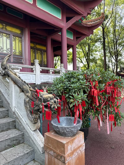 This vertically oriented image, captured in Shizhong, China, showcases a vibrant cultural scene under bright daylight. The central focus is a lush green leafy bush or small tree heavily adorned with numerous small rectangular red wish tags, some featuring pink ribbons and tassels. Many of these tags display Chinese characters, notably "合家幸福" (Hé jiā xìng fú), which translates to "Family happiness."

Adjacent to the wish tree, a golden-colored dragon statue, likely cast in bronze or carved from stone, rests on a white stone balustrade. This dragon, intricately detailed, also has red wish tags tied around its head and body. The balustrade itself is decorated with carved patterns.

In the background, a traditional Chinese building is prominent, characterized by its striking maroon-red wooden structure and supporting columns. Sections of the building, particularly roof accents and trim, are painted in a contrasting greenish-teal. The building features windows with yellow panes and dark, intricate geometric lattice patterns. Overhead and in the distant background, the canopy of large green trees is visible, illuminated by bright sunshine.

To the right, a textured brown wall provides a backdrop for a grey stone basin or bowl and a light brown rectangular stone block with circular carvings. Grey stone steps lead upwards from the lower right of the frame, complementing the architectural style. The absence of people emphasizes the serene atmosphere and the cultural significance of the wish-making practice, suggesting the location is likely a temple, shrine, or a traditional garden.