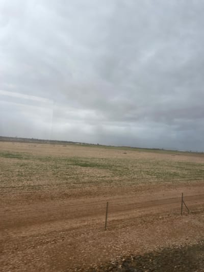A field stretches from a gravelly edge toward a distant treeline. The field's surface displays faint rows and patches of green amid dry earth. Scattered wooden poles punctuate the field. Above, a gray, overcast sky fills the view, the cloud cover thick and uniform. The horizon is blurred, blending the landscape and sky. The image lacks distinct focal points, emphasizing the broadness of the field and the overcast atmosphere.