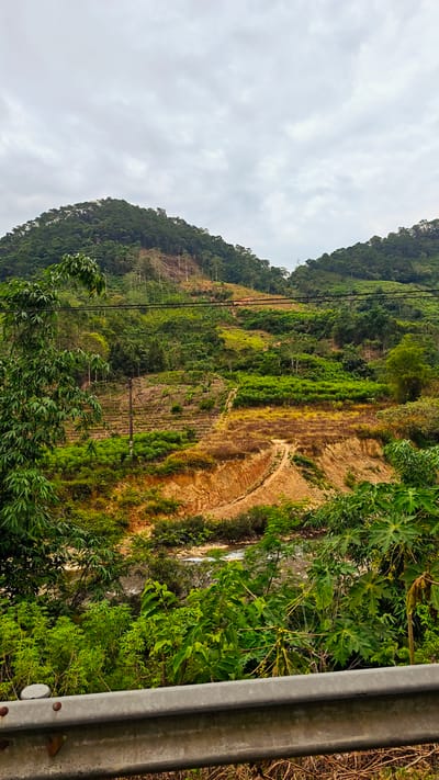 The image shows a hillside landscape in Thuận Hòa Commune, Vietnam. Terraced land is visible on the slope with varying degrees of vegetation. Some sections appear barren or sparsely vegetated, displaying exposed soil. Dense forest covers the upper part of the hill. A dirt road or path meanders down the hillside. In the foreground, there are trees and greenery partially obscuring a view of a river or stream. A metal guardrail is partially visible at the bottom of the image. The sky is overcast. Utility lines are visible on the left side of the image.