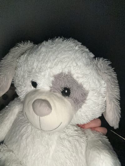 The image shows a plush, white and grey stuffed animal dog. The dog has a grey patch around its right eye and a grey nose. A hand is partially visible behind the dog. The background is dark. The location cannot be determined from the image. There is no indication the image was taken in Drandar, Bulgaria, or any city.