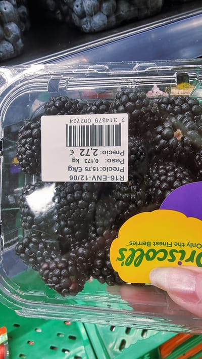 The image shows a close-up of a clear plastic container filled with blackberries. A white label is affixed to the container, displaying product information. The label is printed upside down and reads in Spanish: "R16-ENV-12/06", "Precio: 15,75 €/kg", "Peso: 0,173 kg", "Precio: 2,72 €", and a barcode with the number "2 314379 002724". To the right of the label, a yellow sticker with the brand name " Driscoll's" is partially visible, with the text "Only the Finest Berries" above it. A person's hand, with painted fingernails, is seen lightly touching the container from the right. The background is blurred but suggests a retail environment with other produce or items. The overall setting appears to be a market or grocery store, possibly within the city of Olot, Spain, given the Spanish text on the label. The lighting is bright, illuminating the blackberries and the label.