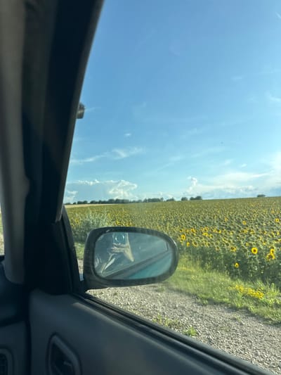 An outdoor, eye-level, medium shot captures a view from inside a car looking out at a field of sunflowers under a bright blue sky with scattered white clouds. The left side of the frame is dominated by the interior of the car, including a black door panel with a handle and a partial view of a black frame, likely an A-pillar. To the right, a side-view mirror reflects a person holding a smartphone, taking a selfie. Beyond the mirror, a gravel road leads into the distance, bordered by green grass and small yellow wildflowers. The main focus of the scene is a vast, dense field of sunflowers, their yellow petals creating a vibrant contrast against the green foliage. The horizon is marked by a line of trees. The location is identified as Sagaidac, Moldova.