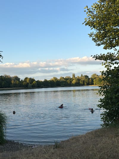 The image depicts a serene summer scene at a lake, likely in or near Horka nad Moravou, Czechia. In the foreground, dry grass and a rocky shore lead to the tranquil water. Several individuals are enjoying a swim in the lake. One person is visible on the far left, with only their head above water. Further out, a person is swimming with a red inflatable ring. Another individual, wearing a pink swim cap, is swimming in the middle of the lake. On the right side, a person is partially submerged in the water. The background is characterized by a lush green treeline bordering the lake, with a clear blue sky punctuated by fluffy white clouds above. The sunlight casts a gentle glow, suggesting it is either late afternoon or early morning. The overall atmosphere is peaceful and recreational.