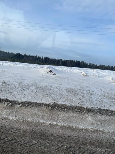 The image displays a desolate winter landscape located in Meshcheryaki, Russia, under a light blue sky with scattered clouds. The immediate foreground features a dark, dirty, and slushy ground surface, consistent with a road shoulder or unpaved area, exhibiting faint tire treads. This transitions into a snow-covered field in the midground, characterized by undulating snowdrifts and intermittent patches of exposed dark earth or vegetation. A distinct dark mound, partially covered by snow, is centrally positioned within this field. The background is dominated by a dense, dark green treeline, primarily composed of conifers with a few bare deciduous trees interspersed, extending across the horizon. Overhead, at least three parallel power lines traverse the upper portion of the sky, and a power transmission pylon is faintly discernible to the far left, near the treeline. Reflections in the upper part of the frame suggest the image was captured through a window. No human figures, animals, or explicit activities are observed within the depicted environment.