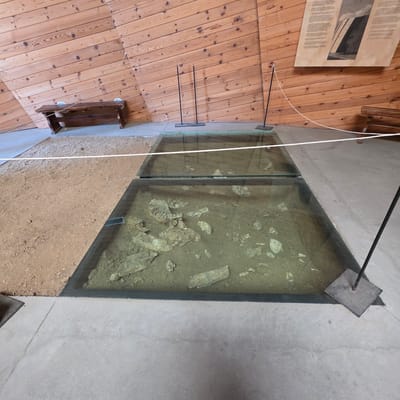 In the city of Dorkovo, Bulgaria, an archaeological exhibit features a display of fossilized bones. These ancient remains are preserved beneath a protective glass floor, allowing visitors to view them from above. The exhibit is situated within a building with a distinctive sloping wooden plank wall. Adjacent to the fossil display, a section of the floor is covered in light brown soil and gravel. A wooden bench is positioned in the background, near the wooden wall, and a piece of informational text is mounted on the wall above the bench. Several thin, dark vertical poles with square bases are placed around the glass-covered exhibit, likely serving as support or demarcation. A white cord stretches horizontally across the scene, separating the viewing area from the exhibit.