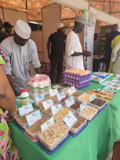 This medium shot captures an agricultural exhibition booth, likely within a sheltered outdoor or indoor market setting, suggested by the tent-like structure in the background. The central focus is a table covered with a green tablecloth, laden with various agricultural products and promotional materials.

Several individuals are visible, mostly men. In the foreground, a man wearing a grey shirt and a white traditional cap is seen from behind, his arm extended towards the table. Another man in a white kaftan and a patterned cap stands near a poster, observing the display. A third man in a black shirt and cap is partially visible behind the first, and others are in the background. People appear engaged in viewing or discussing the displayed items.

On the table, numerous clear plastic containers hold different types of grains and seeds, each labeled with its scientific and common name. Visible labels include "Sorghum almum," "Pennisetum momb," "Brachiaria ruziziensis," "Cajanus," "Centrosema pascourum," "Leucaena leucocephala," "Stylosanthes hamata," "Chloris," and "Macuna white." Also displayed are multiple purple plastic crates filled with light brown eggs. Bottles of "NAPRI Yoghurt" are stacked in a plastic bag, with one bottle standing individually. Stalks of sugarcane are also part of the display.

Behind the table, several informational banners and posters are erected. One prominent banner mentions "L-PRES," "PROACT DEVELOPMENT," "Federal Ministry," and "TECHNICAL," with phrases like "Towards Eliminatic" (Elimination) and "PROJECT COMPONENTS" partially visible. Another banner clearly states "FEEDS & NUTRITION RESEARCH PROGRAMME," with "NAPRI/IAR" and "NAPRI JABU, SHIKA ZARIA" indicating an institutional context for agricultural research in Nigeria, aligning with the Unguwan Sanusi, Nigeria location. The scene suggests a daytime event, well-lit, possibly showcasing agricultural research outputs or products.