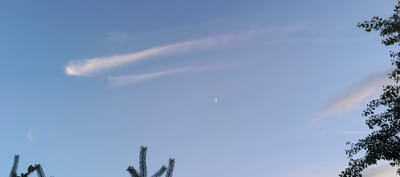 The image shows a clear sky with a crescent moon visible near the center-left. Wispy clouds are scattered across the sky, with one prominent formation appearing as two parallel streaks of white. In the foreground, the dark silhouettes of tree branches and evergreen foliage are visible at the bottom and right edges of the frame, suggesting an outdoor setting, likely a park or natural area. There are no people or discernible human activity depicted. The overall impression is one of a serene, possibly evening or early morning sky. The location provided, Мерчалово Снт, Russia, indicates this scene is in a dacha cooperative settlement in the village of Merchalovo.