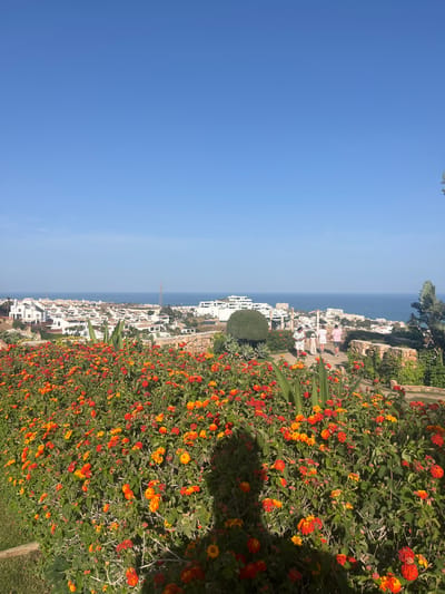The image depicts a scenic view of a coastal town in Benalmádena, Spain. The foreground is dominated by a vibrant flowerbed overflowing with small, clustered blossoms in shades of orange and red, interspersed with lush green foliage. These flowers appear to be Lantana, common in Mediterranean climates.

Beyond the flowers, the scene unfolds to reveal a town with white-washed buildings cascading down a hillside towards the sea. The architecture suggests a Mediterranean coastal resort. In the middle ground, several people are visible walking along a pathway amidst the greenery and overlooking the town and sea. They are casually dressed, suggesting a relaxed daytime activity. One group of individuals is dressed in light-colored clothing, including pink and white shirts.

The background is a vast expanse of the clear blue Mediterranean Sea, meeting a bright blue sky at the horizon. The presence of the sea and the clear sky indicates fair weather, likely during daylight hours, possibly late morning or early afternoon given the bright sunlight casting shadows. A tall, slender pole, possibly a utility pole or lighting fixture, is visible rising above the town near the coastline. The overall impression is one of a beautiful, sunny day in a picturesque coastal location, likely a tourist area. No text is visible in the image.