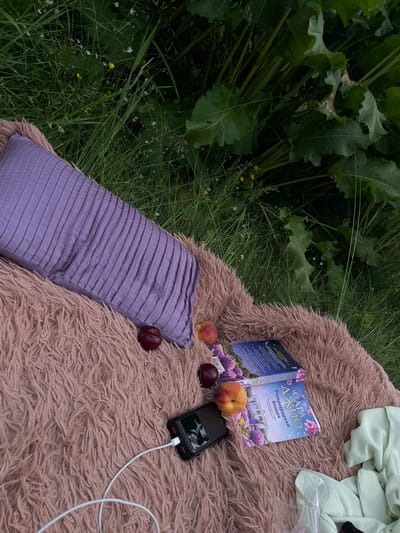 An overhead shot shows a picnic setup on a fluffy pink blanket spread on grassy terrain with large green plants in the background. The picnic includes a lavender pleated pillow, three ripe plums, two peaches, a black portable charger with a white cable, an open book with a cover depicting hydrangeas and a building, and a pale green garment. The environment appears to be a natural outdoor setting, possibly a meadow or park, in the vicinity of Пліскі сельскі Савет, Belarus.