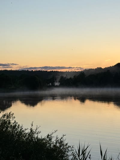 A serene, misty sunrise over a calm body of water. The sky is a gradient of soft blue to warm orange and yellow, with faint clouds near the horizon. A dark, silhouetted treeline borders the far side of the water, with a hint of mist rising from the surface. The water itself is still, reflecting the colors of the sky and the dark treeline. In the foreground, lush green foliage and tall reeds emerge from the water's edge. The location is identified as Satino-Russkoe, Russia. There are no people or animals visible in the image, and no specific actions or interactions are depicted. The overall atmosphere is peaceful and tranquil.