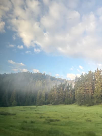 The image depicts a scenic mountain landscape with a dense pine forest bordering a lush green meadow under a bright blue sky dotted with fluffy white clouds. A gentle mist hovers over the forest, creating a serene and ethereal atmosphere. The scene appears to be located in the vicinity of the city of Kasak, Bulgaria, renowned for its natural beauty and tranquil surroundings. There are no people or specific man-made objects visible in the image, emphasizing the unspoiled natural environment. The lighting suggests it might be early morning or late afternoon, casting a soft glow on the landscape.