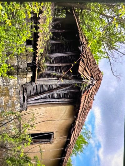 The image displays an old, dilapidated building, likely a house or barn, enveloped by lush green vegetation. The structure exhibits extensive decay, suggesting it is abandoned or severely neglected.

The roof is covered with traditional terracotta tiles, many of which are broken, missing, or displaced, revealing the weathered wooden framework beneath. Fresh green leaves and vines are growing on and around the roof, indicating the building's integration with the surrounding nature.

The right side of the building features a light yellowish, textured wall, possibly made of stucco or mud, with a dark, empty window opening. The left side of the structure is composed of weathered wooden siding or planks, appearing aged and leaning, supported by decaying vertical timbers. The base of the building is constructed from large, rough-hewn stone blocks, forming a sturdy foundation. Below this, on the lower left, a corrugated metal sheet is visible, partially obscured by dense green bushes.

Abundant green trees and bushes surround the building, with their fresh foliage suggesting spring or early summer. The sky above is partly cloudy, with visible patches of blue. No human or animal activity is depicted, and the scene conveys a sense of stillness and abandonment.

No text is visible within the image. While the provided context specifies Wolverhampton, United Kingdom, the visual elements of the building and vegetation do not offer specific cues to confirm this particular geographic location, rather suggesting a generic rural or semi-rural setting. The time of day appears to be daytime, with natural lighting.