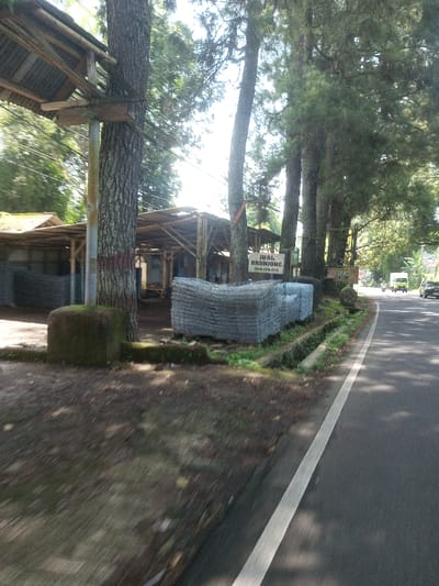 The image depicts an outdoor, roadside scene, purportedly in the city of Beteng_Pangkhar_Somthrang, Bhutan. A paved asphalt road occupies the right side of the frame, featuring a solid white lane demarcation line. Parallel to the road, a narrow, moss-lined drainage ditch is visible. To the left of the ditch, elevated ground covered in dirt and sparse vegetation hosts several tall, coniferous trees, primarily pines, which cast shadows across the ground.
On the left side of the scene, behind the trees, multiple rudimentary open-sided shelters or sheds are constructed with wooden pole frames and corrugated metal roofs. In front of these structures and on the ground adjacent to the road, large stacks of grey, flattened wire mesh cages, identified as gabion baskets, are prominently displayed. A rectangular white sign, attached to one of the tree trunks, bears black text "JUAL BRONJONG" (Sell Gabion) and a phone number beginning with "0816-". This text is Indonesian, which contrasts with the provided Bhutanese location.
Further down the road in the background, a light-colored utility truck or bus and a smaller vehicle are visible, indicating traffic. The overall lighting suggests a bright, sunny day, with clear skies visible through the tree canopy. No individuals are clearly discernible or identifiable within the scene. The area appears to function as a roadside vendor or material yard for construction supplies.
