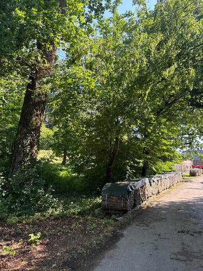 The image depicts a sun-drenched, rural scene in Bridel, Luxembourg. In the foreground, a dirt and asphalt road runs along the right side of the frame. To the left of the road, a long, neat stack of firewood is covered with a dark green tarp, secured by white straps. The firewood is arranged on wooden pallets. Beyond the firewood, a dense forest with mature trees and lush green foliage dominates the left and center of the image. Sunlight filters through the leaves, creating dappled shadows on the ground. In the background, to the right of the firewood stack, a wooden building with solar panels on its roof is visible, along with a red vehicle and another smaller stack of firewood. The overall impression is one of a peaceful, rural setting during daylight.