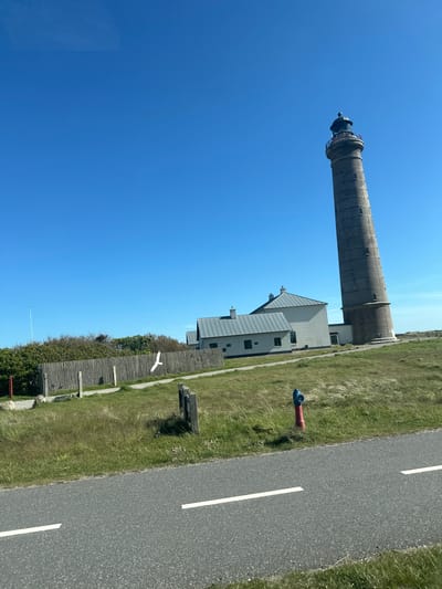The image depicts the Grey Lighthouse of Skagen, Denmark, also known as Skagen Grå Fyr. The lighthouse, a tall cylindrical structure, is positioned on a grassy area beside a two-story building with a grey roof. A road with white lane markings runs parallel to the building and lighthouse. Adjacent to the road is a grassy verge containing a red fire hydrant. A wooden fence borders the grass and shrubbery area. The sky is clear and blue.
