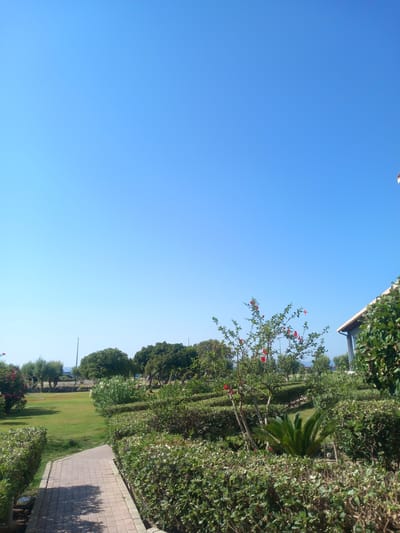 The image depicts a garden path winding through manicured hedges under a clear blue sky. A small tree with red flowers is visible to the right of the path. In the background, there is a lawn, more trees, and a glimpse of a building with a tiled roof. The scene appears to be in the city of Kos, Greece. There are no people or animals visible in the image. The environment is a well-maintained outdoor space, likely a park or a resort garden.