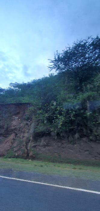 A roadside view with a clear blue sky above. A dense, dark green tree stands to the left, while the adjacent land slopes down to a rocky embankment covered in low-lying vegetation. To the right, a paved road with a white dividing line cuts into the frame. The image is captured at an angle, giving a tilted perspective.