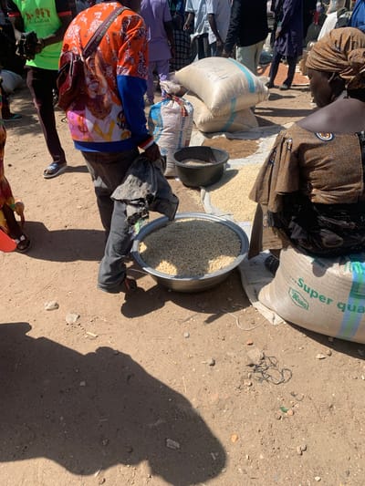 In a sandy outdoor market, likely in Gobbiya, Nigeria, several people are engaged in selling and buying grains. The scene is bustling, with various sacks of grains and open containers of loose grains displayed. One large, white sack with blue and green stripes bears the text "Super Qual" and a logo. Another sack is partially visible with the text "PREMIUM WHEAT". A person in the foreground wears a colorful, patterned top with images of tigers and faces, and a dark handbag slung across their body. Other individuals are dressed in traditional clothing and more casual attire, with some wearing headscarves.
Two large, grey, shallow bowls are filled with light-colored grains, possibly corn or millet, with one being actively scooped from. Several other sacks of grain are stacked or laid out in the background. The ground is dusty and uneven, typical of a market setting. The presence of multiple people and the arrangement of goods suggest a commercial transaction is in progress. Shadows stretch across the ground, indicating the sun is high in the sky, suggesting it is midday. The overall atmosphere appears to be one of active commerce.
