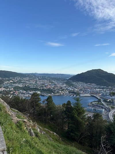 This is a high-angle, panoramic view of the city of Bergen, Norway, taken from a hillside. The foreground features a rocky, grassy slope with scattered trees. The midground shows a body of water, likely a fjord or harbor, with boats docked along its edge. Beyond the water, the city sprawls, characterized by a dense collection of buildings with red-tiled roofs, intermixed with modern structures. A prominent mountain covered in trees dominates the right side of the frame, with a telecommunication tower visible at its summit. Roads, including a highway overpass, are visible weaving through the urban landscape. The sky is clear blue with a few wispy clouds. The scene appears to be captured during daylight hours on a sunny day.
