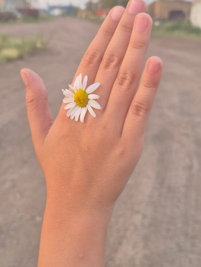 A close-up, eye-level shot features a person's left hand, palm facing upward, with a single white daisy resting on the back of the hand, near the base of the index finger. The daisy has a yellow center and white petals. The background is a blurred outdoor scene with a dirt path or road and some buildings in the distance, suggesting a rural or semi-urban environment. The lighting appears to be natural daylight, casting a warm glow on the skin. This image was captured in the city of Novoishimskoye, Kazakhstan.