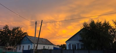 The image depicts a rural or suburban scene at sunset, characterized by a vibrant orange and yellow sky filled with wispy clouds. The setting includes two houses, one with a blue trim and a rusty metal roof, and another larger house with a gray facade and a pointed roof. Several trees, some with distinctive white bark, are visible, obscuring parts of the houses and the sky. Power lines crisscross the sky, supported by wooden utility poles. A corrugated metal fence runs along the foreground, separating the viewer from the properties. The time of day is clearly sunset due to the intense colors of the sky. The weather appears clear apart from the clouds. There is no visible text in the image. The overall mood is serene and picturesque, highlighting the beauty of the natural light at dusk. The houses suggest a residential area, possibly in a village or small town.