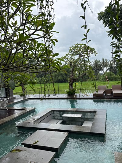 A serene pool with stepped gray stone features stretches towards a vibrant green rice paddy. Lush foliage and trees frame the scene, partially obscuring a cloudy sky. Some lounge chairs are visible near the pool's edge. The overall mood is tranquil and evocative of a tropical resort.