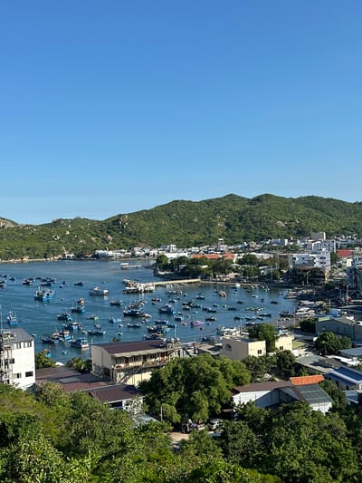 The image displays a panoramic view of a coastal town, likely Vinh Hai, Vietnam, under a clear blue sky. The foreground is dominated by lush green foliage, with several buildings nestled amongst the trees. Beyond the immediate vegetation, the scene opens up to a bustling harbor filled with numerous boats of varying sizes, mostly small fishing vessels. These boats are tightly packed, suggesting a busy working port.
The middle ground features a densely populated town with a mix of white and multi-colored buildings, including some with terracotta roofs. A pier or jetty extends into the water from the town. In the background, rolling green hills covered in vegetation rise up, forming a natural backdrop to the coastal settlement. The overall impression is one of a vibrant coastal community with active maritime and residential life. There are no visible individuals clearly depicted. The lighting suggests it is daytime, with sunlight illuminating the scene.